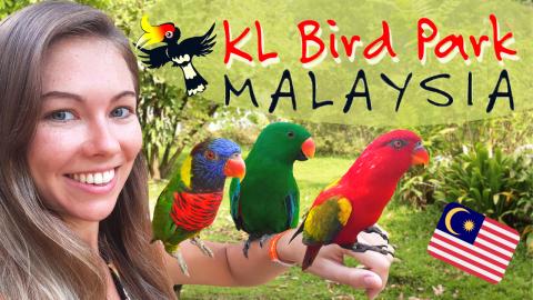 Kuala Lumpur Bird Park | Taman Burang | KL Bird Park