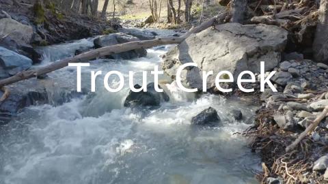 Trout Creek - A Beautifully Timed Flight