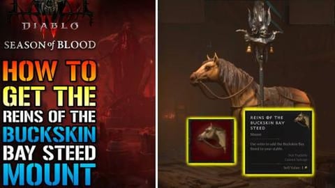 Diablo 4: "Reins Of The Buckskin Bay Steed" Mount! How To...