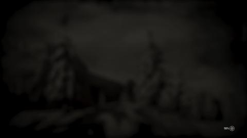 Red Dead Online Gameplay 1)