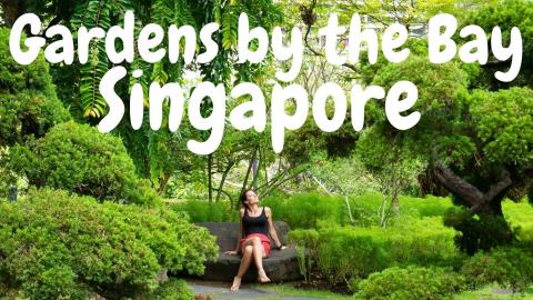 We visited the famous GARDENS BY THE BAY, SINGAPORE │ M...