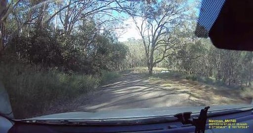 Skippy the bush kangaroo, long hike & fly-tipping