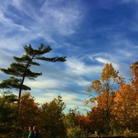 Adventure: Offgrid Land with Cabin in Northern Canada 