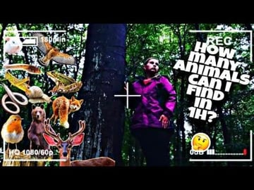 How many animals can I find in 1h! #animals