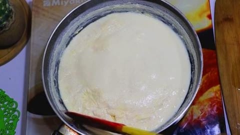 Homemade Milk Powder Recipe