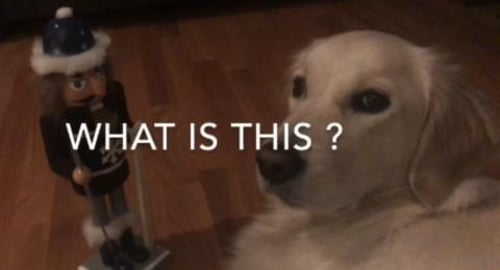 Lola meets the Nutcracker. 