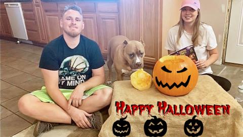 My Dog Reacts To Carving A Pumpkin