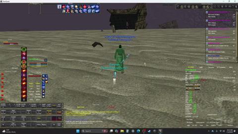 Everquest : Treasure Hunter Eranil