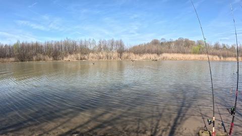 Nature Is Life