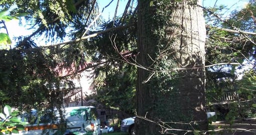 Looks like Eddie has moved out and I've lost a hug buddy