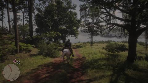 Red Dead Online Gameplay 112