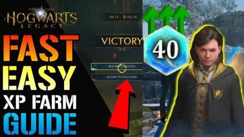 Hogwarts Legacy: Amazing XP Farm GUIDE! After Patch, Gold...