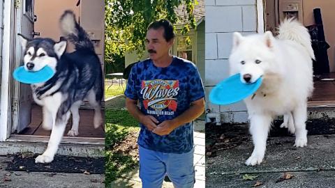 Dad Demands Two Dollars For French Toast From Malamute | ...