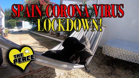 Our Dog Percy the Labrador is on Lockdown in Spain