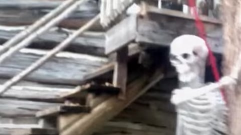Haunted Halloween at Saunders Farm Fright Fest