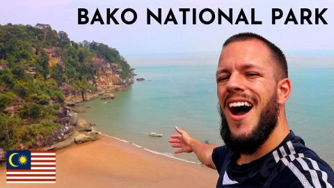 The GEM of SARAWAK Bako National Park - Malaysia 