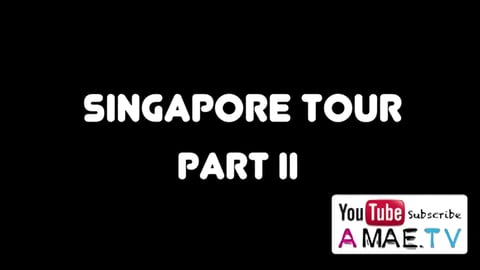Things To Do In SINGAPORE:  River Boat Tour & Marina Bay ...