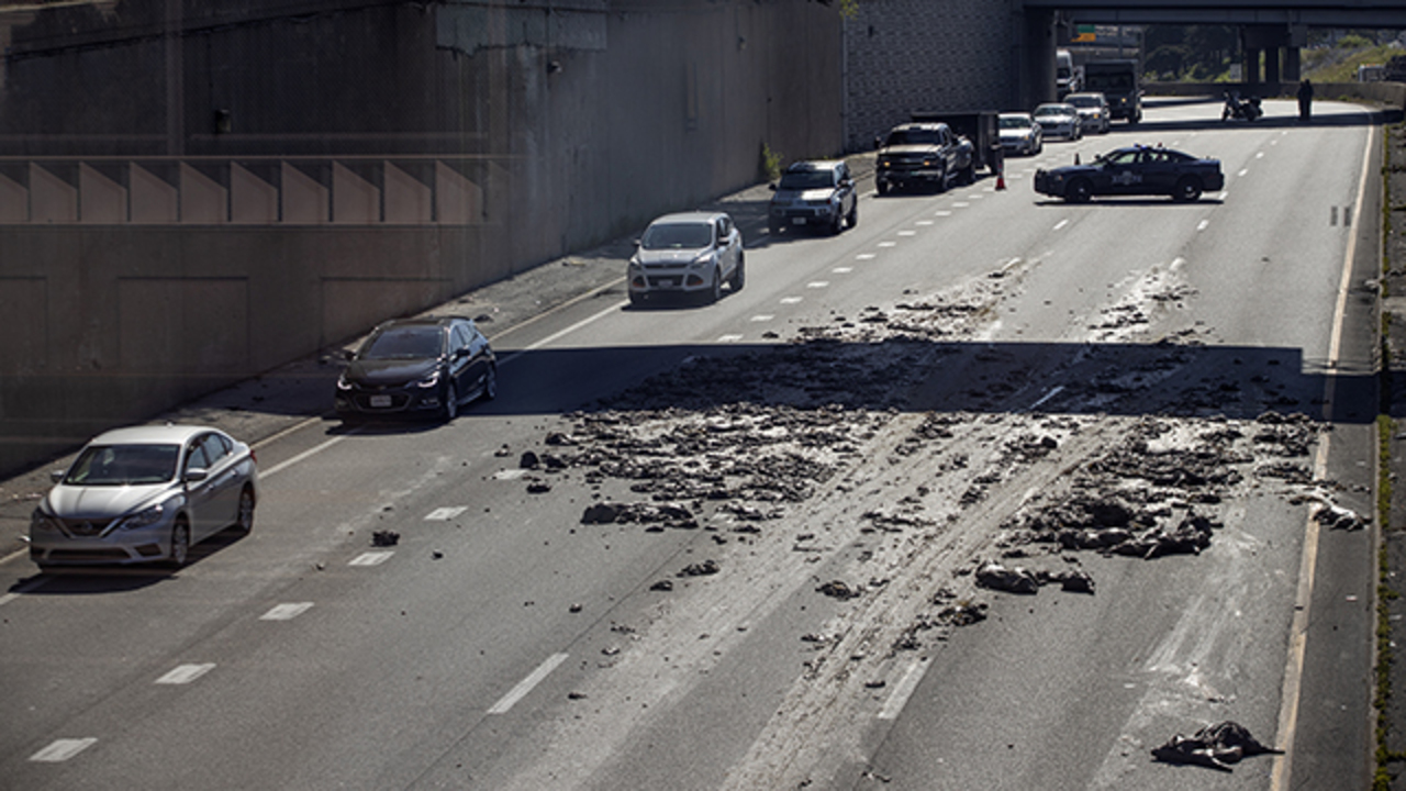 Pig carcasses strewn on I670 shut down three lanes during morning rush