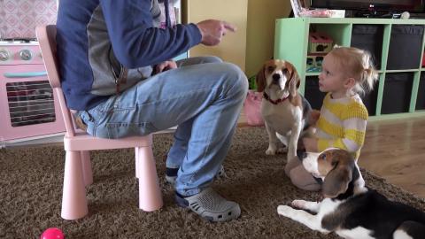 Multitask Dad Trains Puppy With the Help of Dog and Baby
