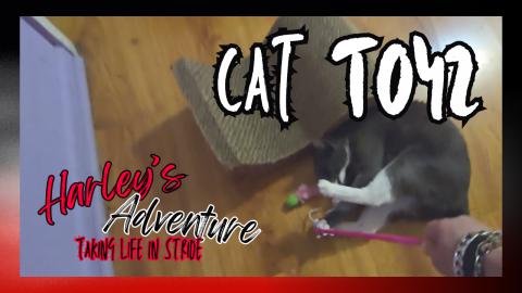 Cat's Fuzzy Pink Wand Full Video