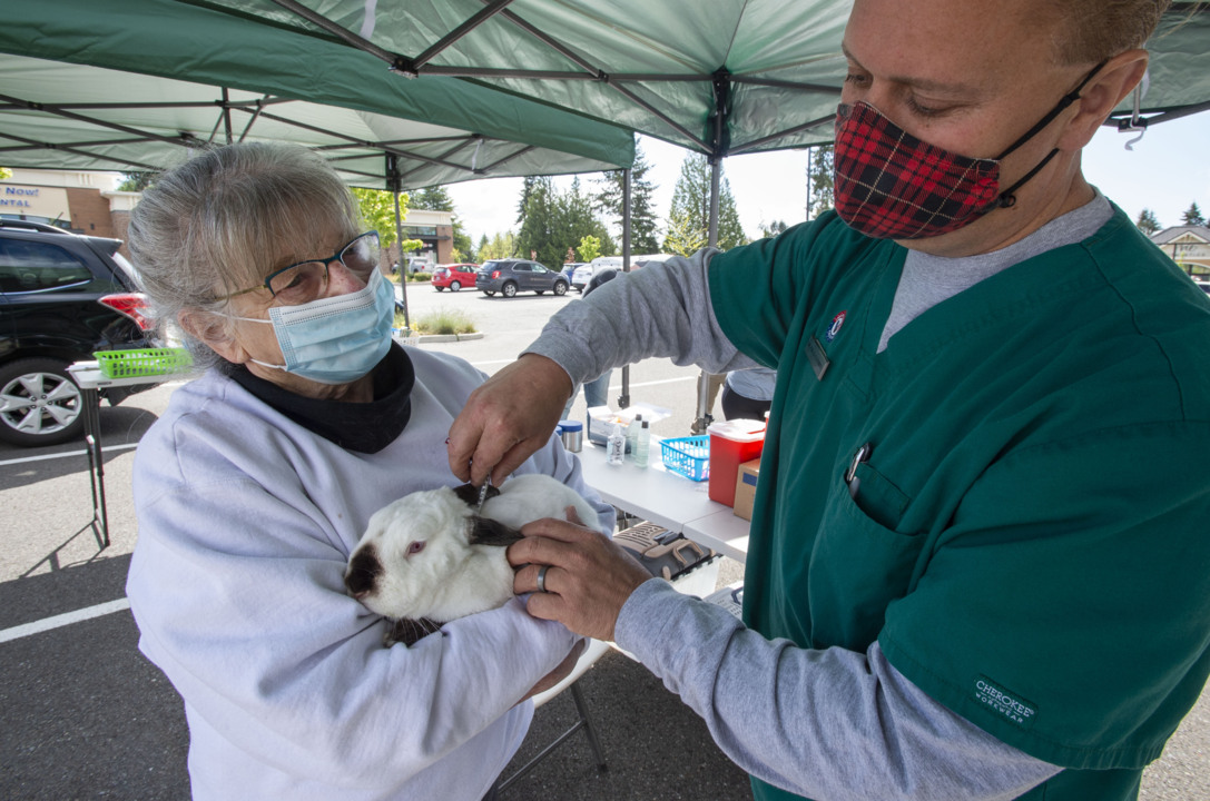 Tacoma Rainiers - It's okay to get a little feral on a