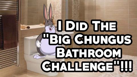 I Did The Big Chungus Bathroom Challenge!