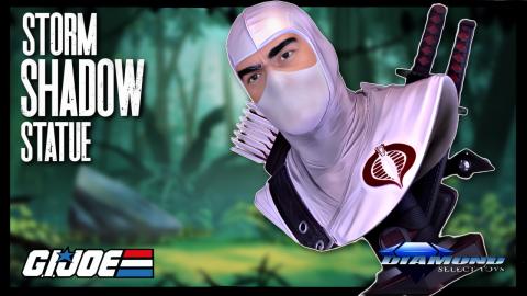 Diamond Select G.I. JOE Legends in 3D Storm Shadow 1/2 Sc...