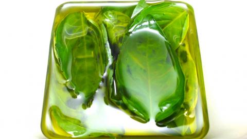 How to Preserve Fresh Basil in Olive Oil / Kitchen Tricks...