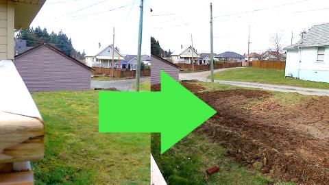 Converting my LAWN into a GARDEN