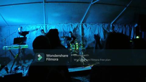 Zebra Band UK Live 1