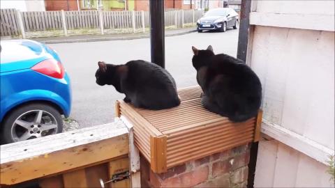 Can we ride this beautiful car