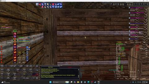 Everquest : Scout Shin Ci
