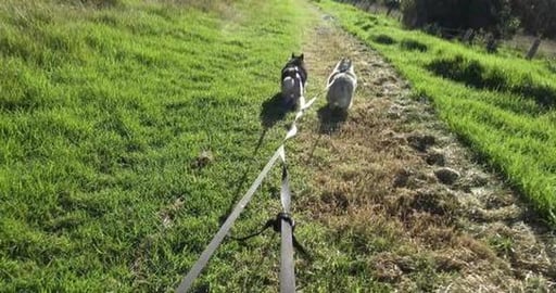 We are being watched, so creepy, all those eyes spying on...