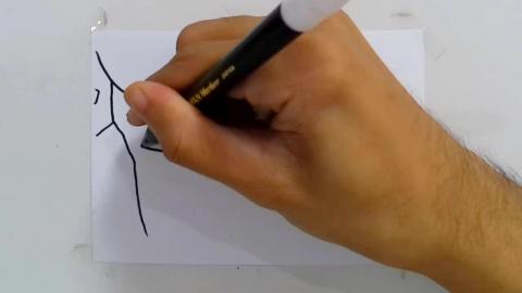 Drawing Anime hagoromo_s_rinnegan V1 shorts