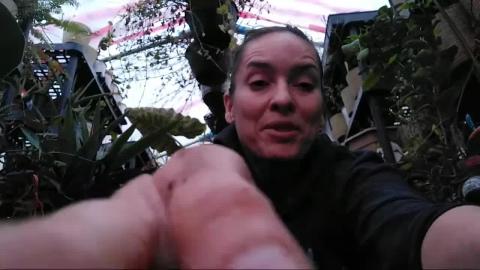 The Plants Get Me: Kitchen Gardening With Kimberly