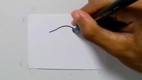 Drawing tatto v198 2025 shorts