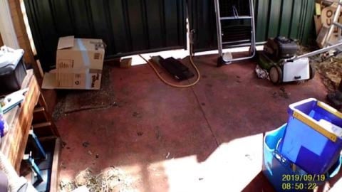 Husky & Malamute first time using the Oztrail camera