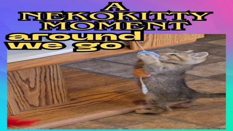 A Nekokitty Moment Shorts: Spin Me Around_20251010_144913...