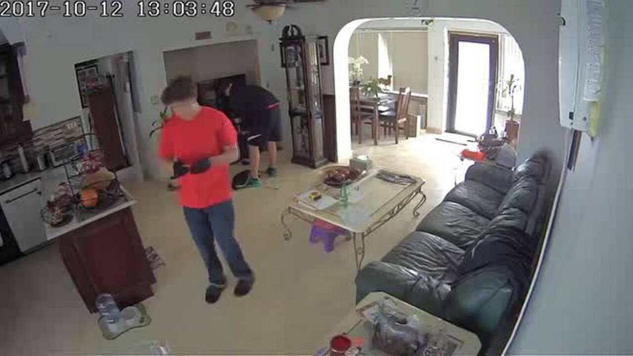 Burglars Attack Barking Dog Make Off With TV San Luis Obispo Tribune Burglars Attack Barking Dog Make Off With TV San Luis Obispo Tribune