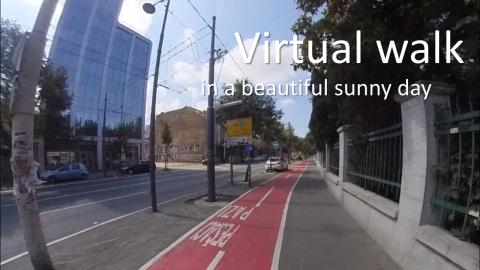 Walk near a exercise lane in the empty street of Belgrade...
