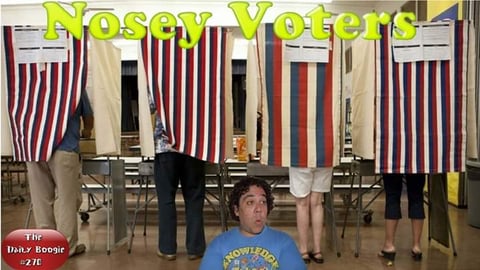 Nosey Voter's