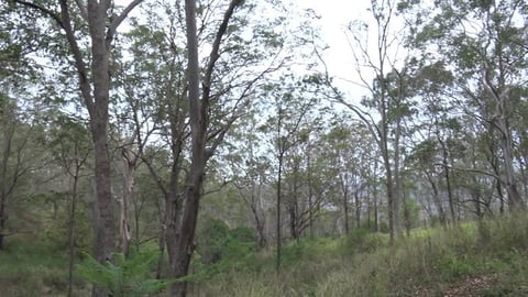 Hiking around Picnic Point, Husky wants turkey for lunch ...