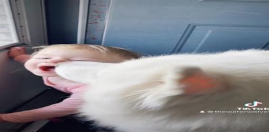 Baby Loves Her Husky Kisses