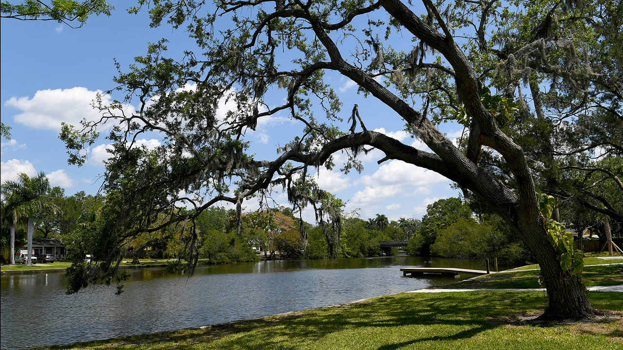 Kayaking Ware's Creek in Bradenton just got easier The State