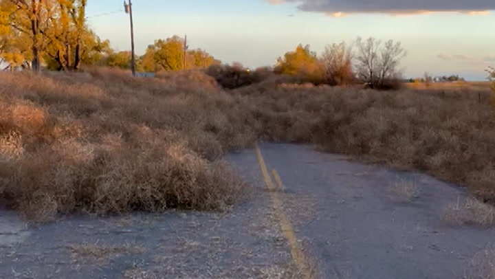 Large tumbleweeds sweep through neighborhood, cover houses