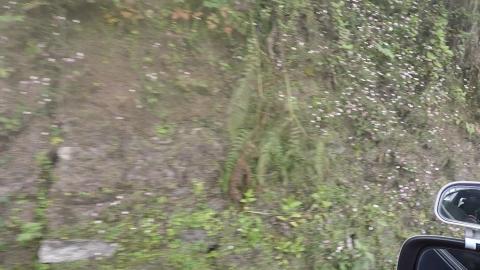 Towards Rimbi Orange Garden | Pelling | Sikkim