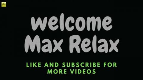 Beautiful Relaxing Music for Stress Relief  Meditation Mu...