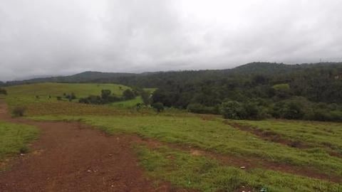 Walking Towards Hethur Grassland | Karnataka
