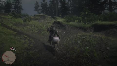 Red Dead Online Gameplay 55