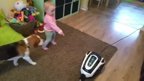  Baby Wants Her Dog to Turn On Vacuum 
